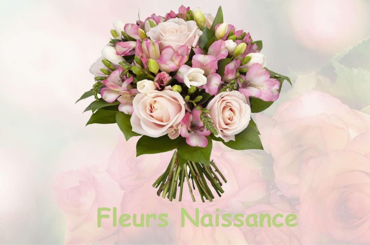 fleurs naissance LABASTIDE-ROUAIROUX